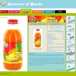 Mandisa Product Page 3